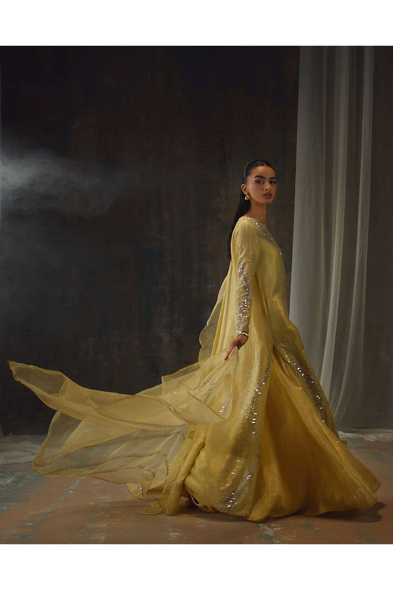 GOLD STARBURST | FARIDA HASAN