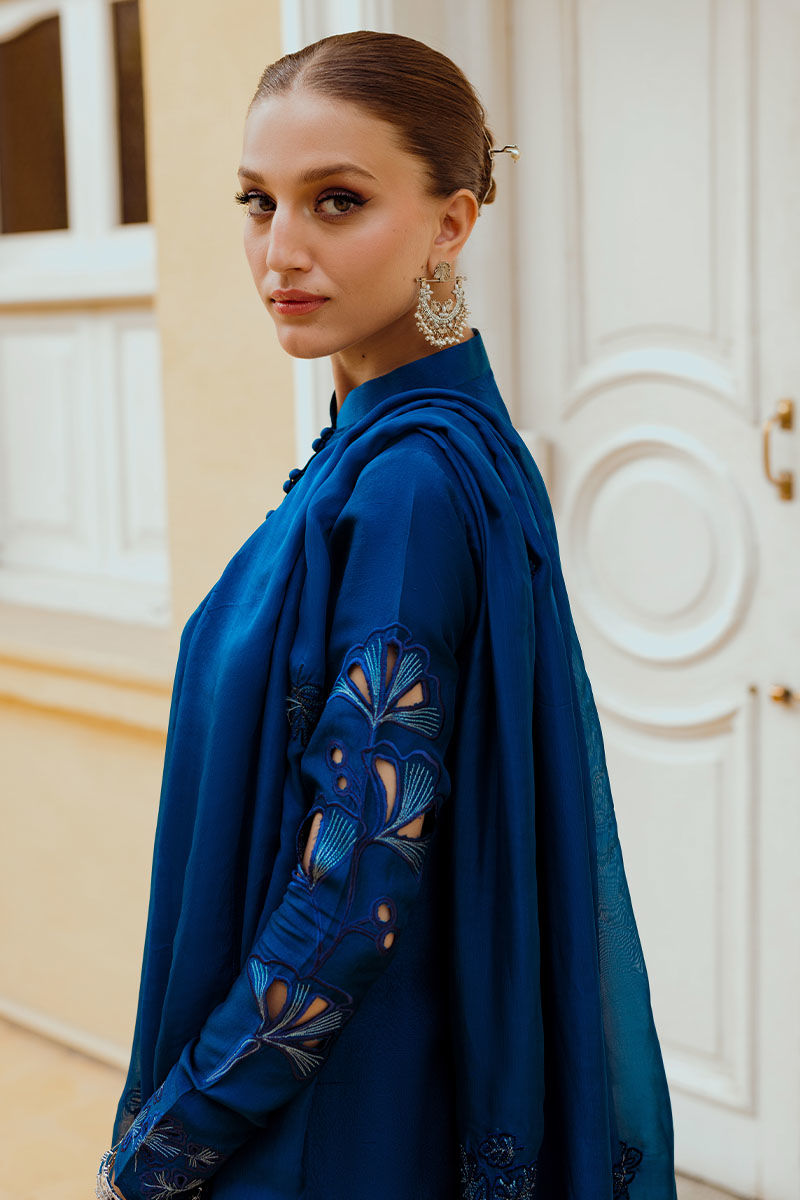 INARA | Ansab Jahangir