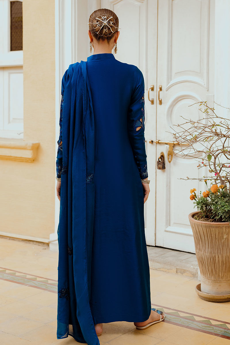 INARA | Ansab Jahangir