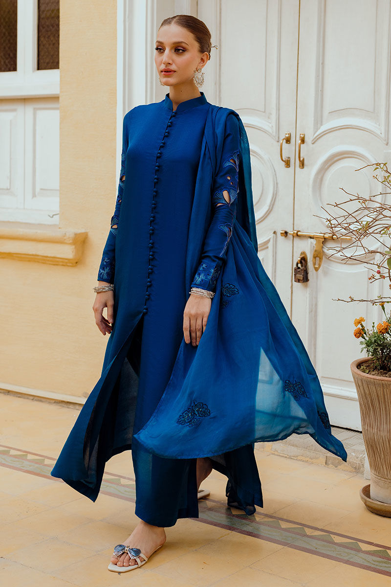 INARA | Ansab Jahangir