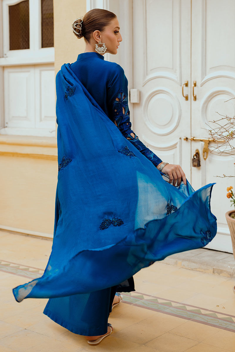 INARA | Ansab Jahangir