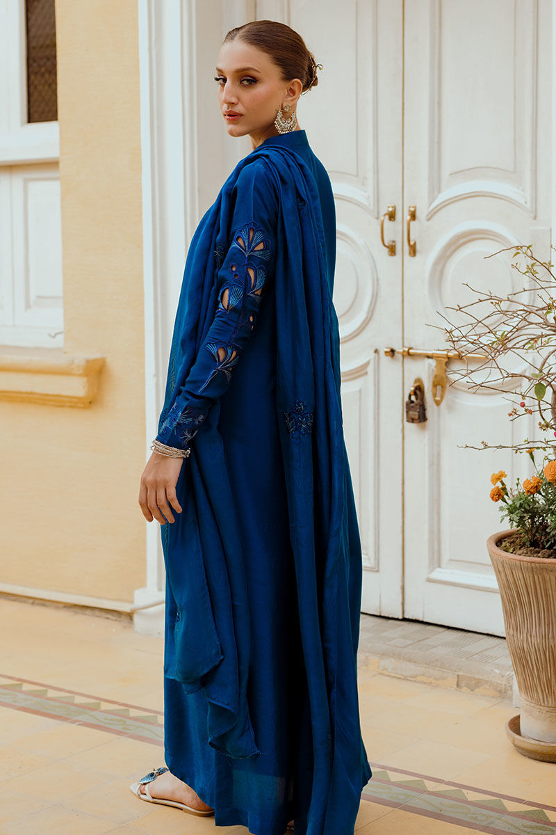 INARA | Ansab Jahangir