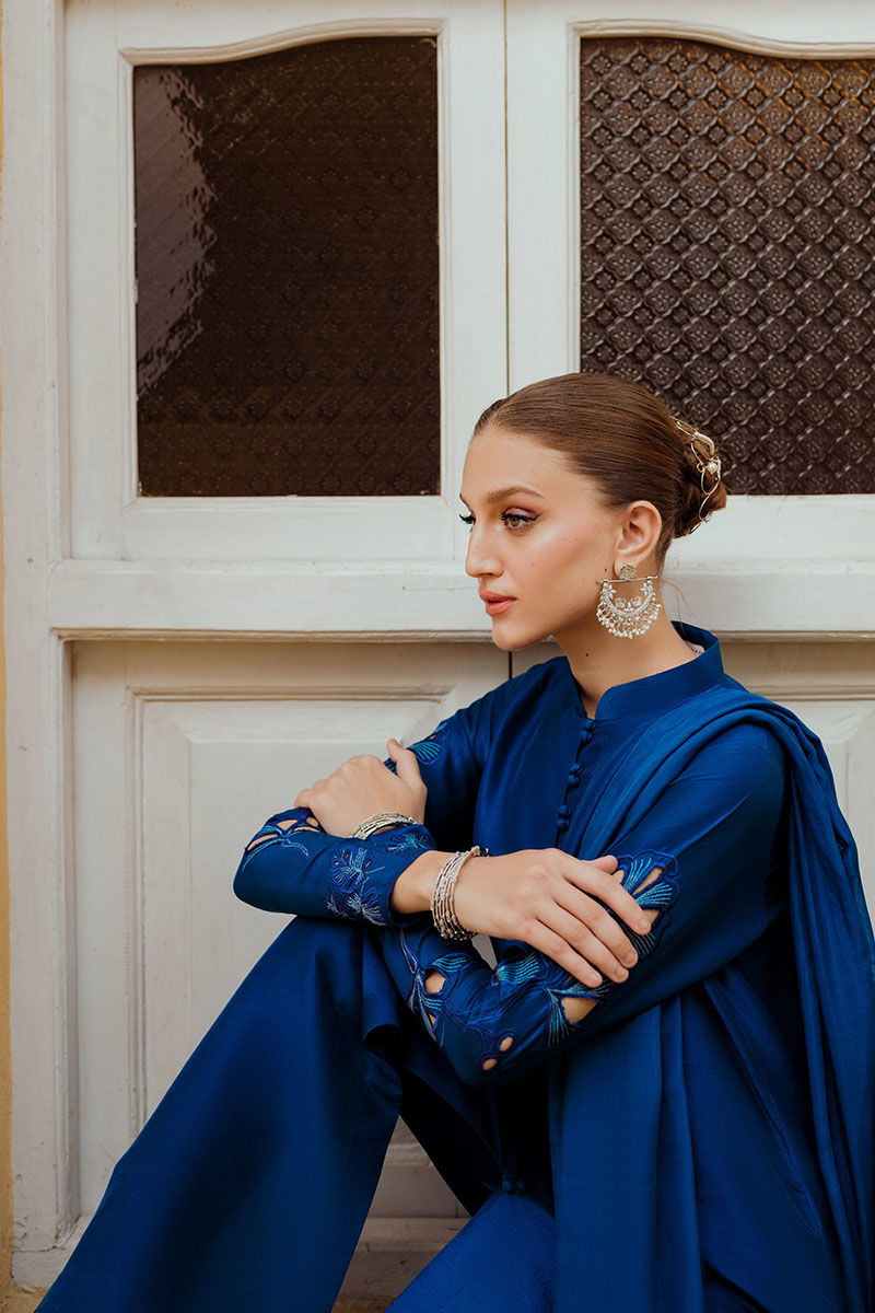 INARA | Ansab Jahangir