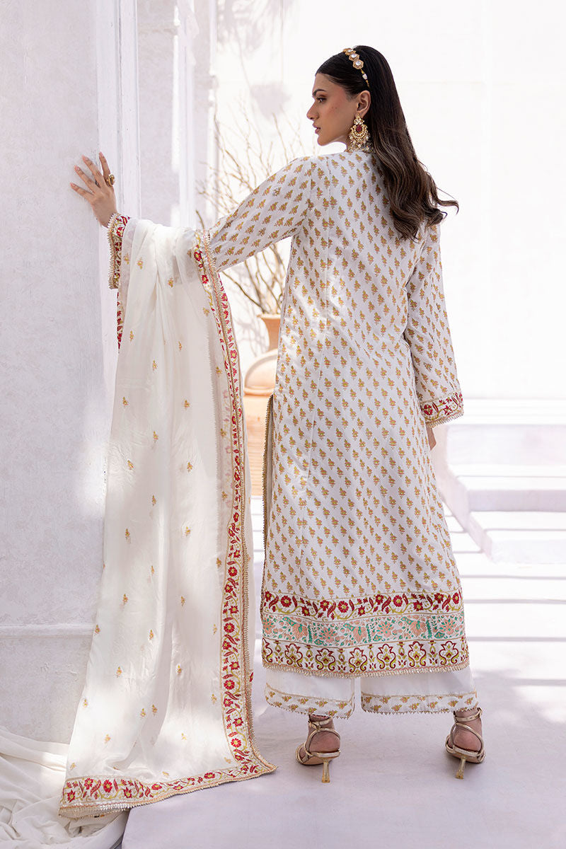 AREEBA | Ansab Jahangir
