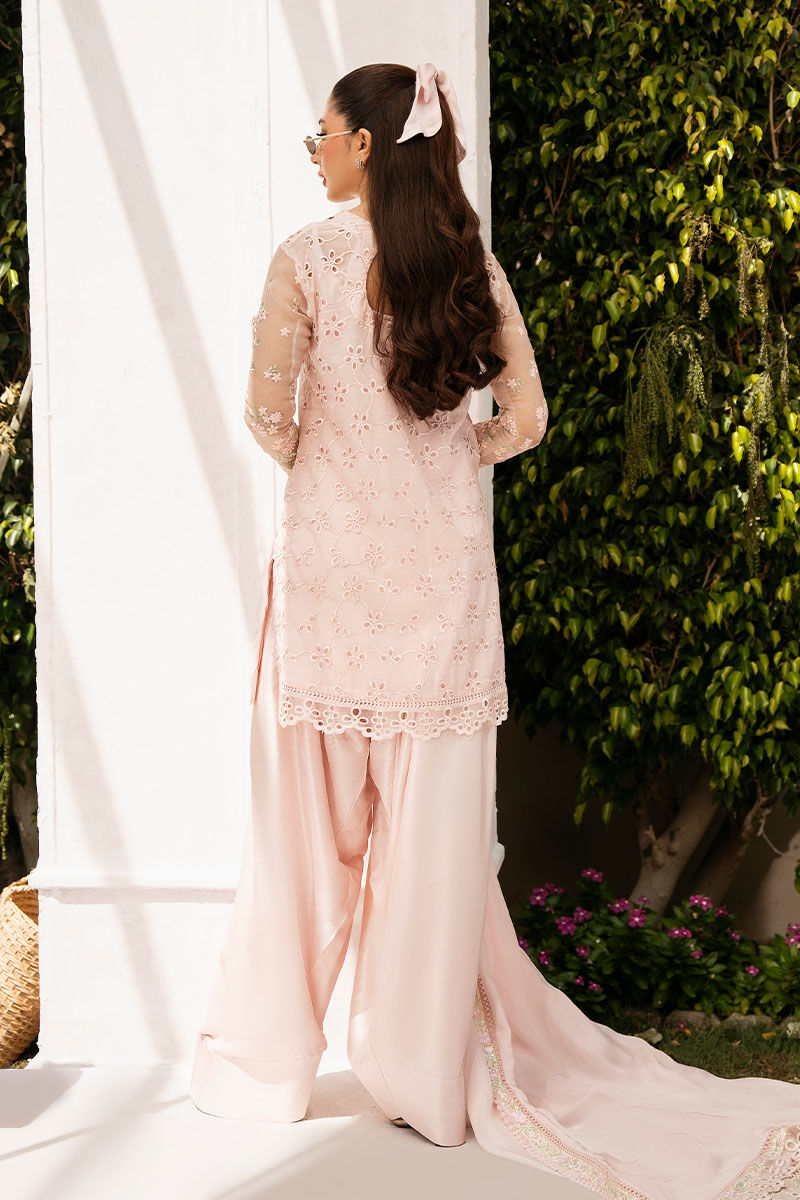 LANA | Ansab Jahangir