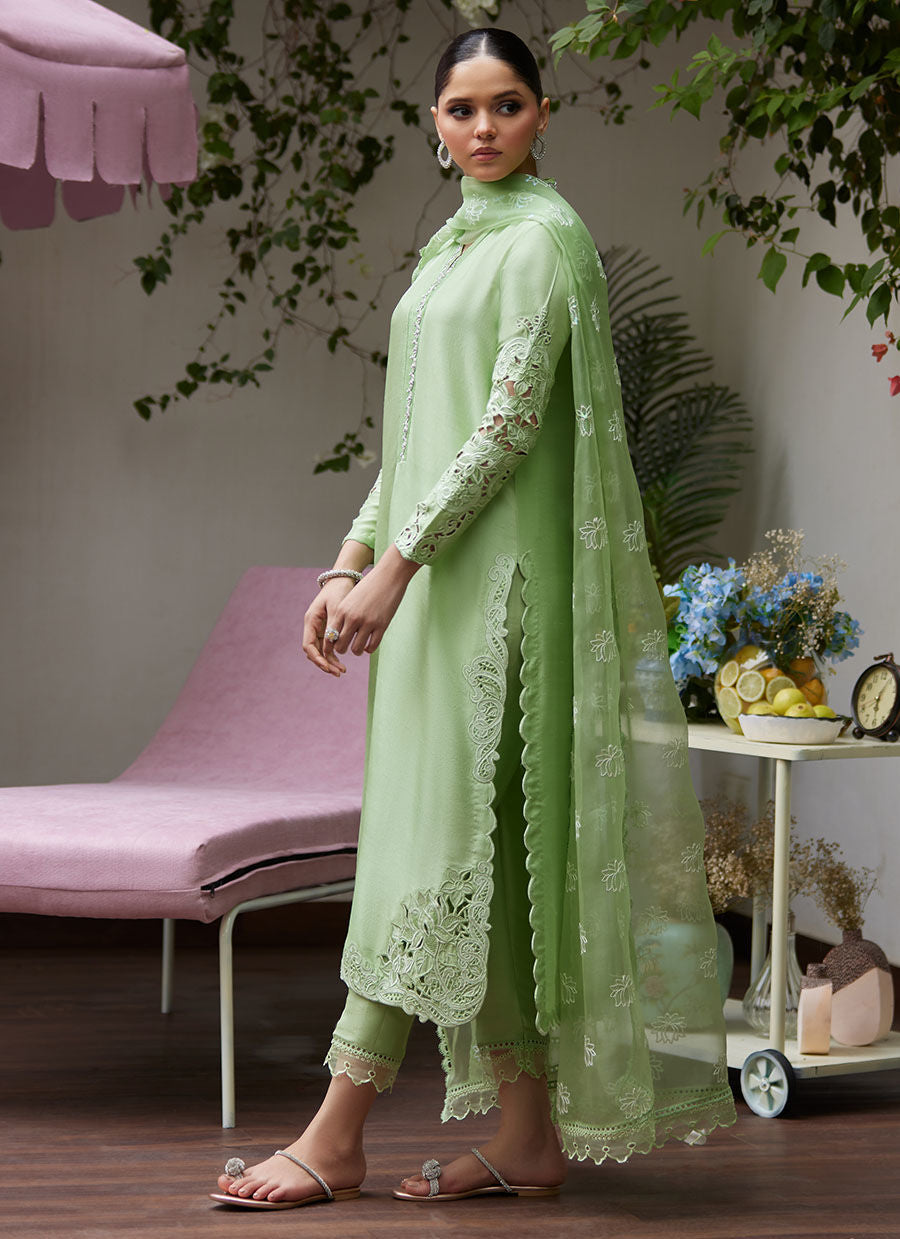 KATYA APPLE GREEN CUTWORK RAW SILK SHIRT WITH ORGANZA DUPATTA | FARAH TALIB AZIZ