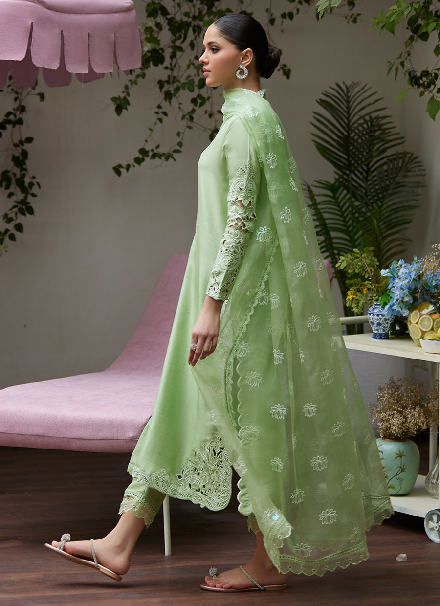 KATYA APPLE GREEN CUTWORK RAW SILK SHIRT WITH ORGANZA DUPATTA | FARAH TALIB AZIZ