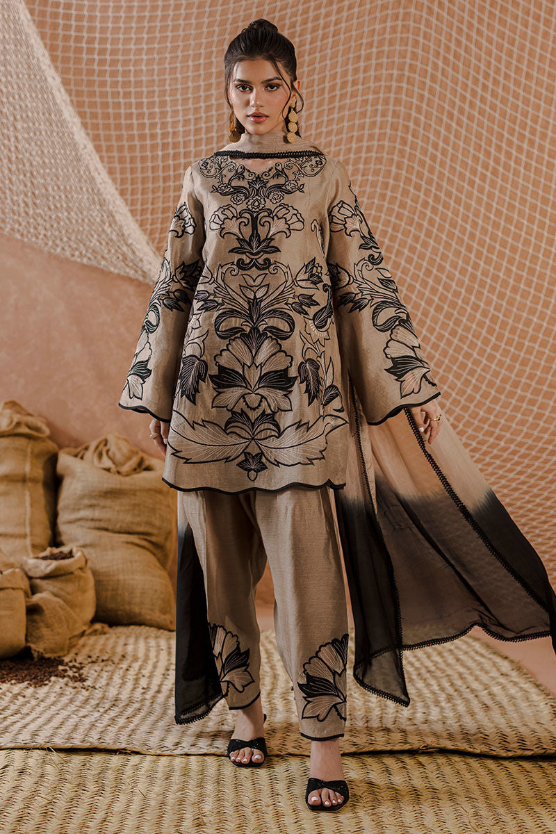 AMRISA | Ansab Jahangir