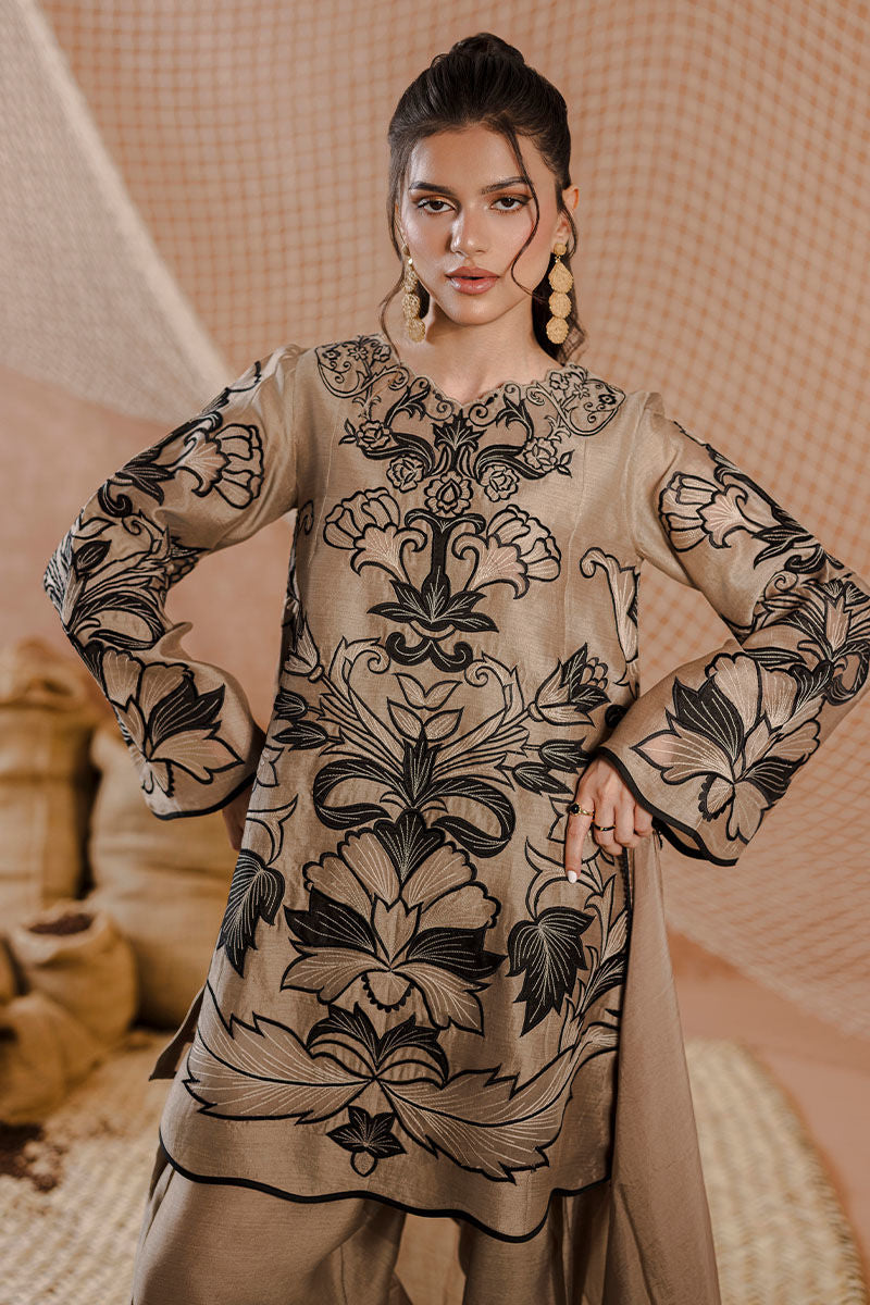 AMRISA | Ansab Jahangir