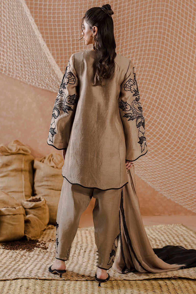 AMRISA | Ansab Jahangir