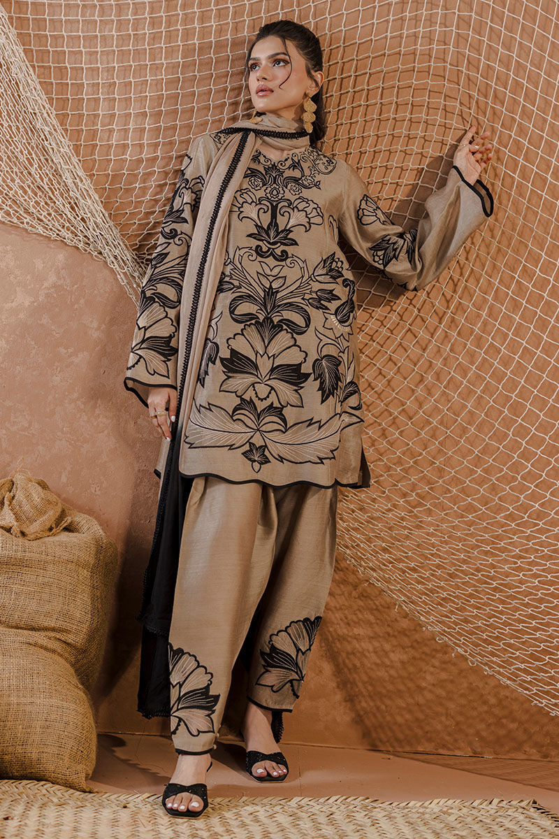 AMRISA | Ansab Jahangir