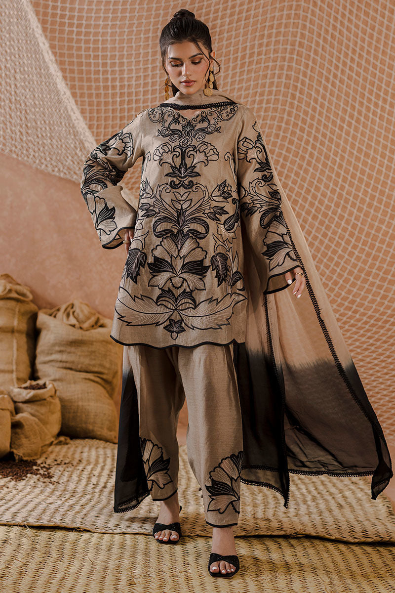 AMRISA | Ansab Jahangir