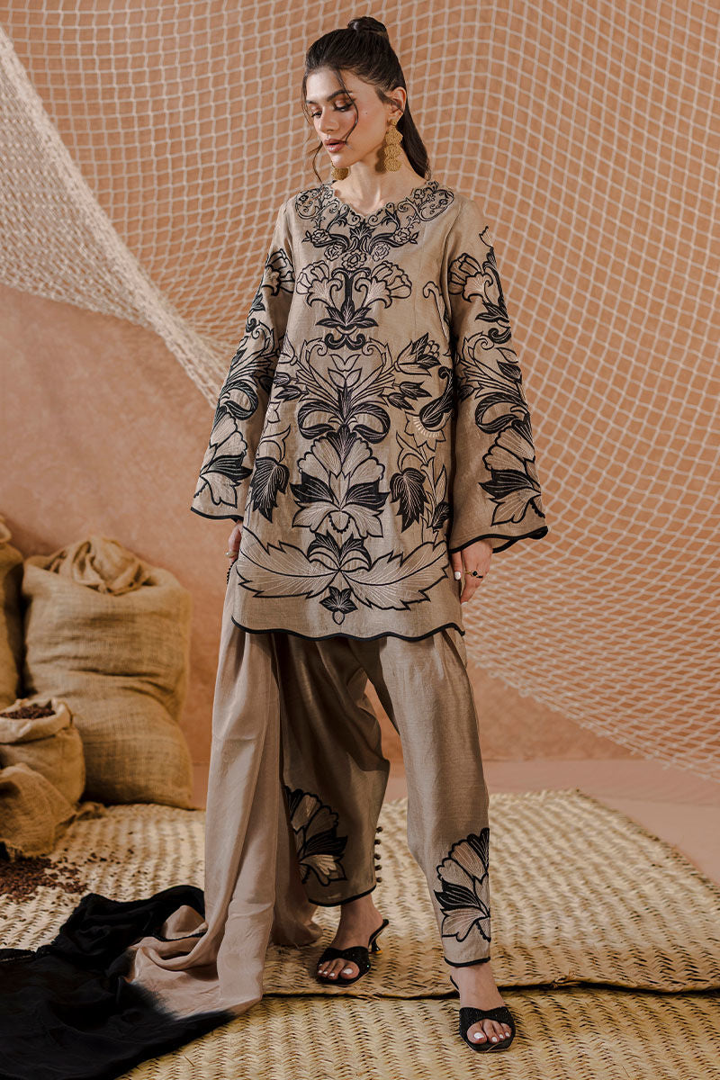AMRISA | Ansab Jahangir