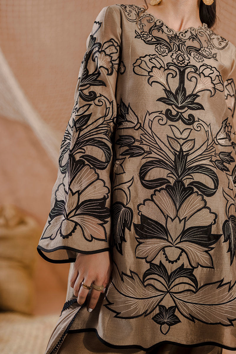 AMRISA | Ansab Jahangir