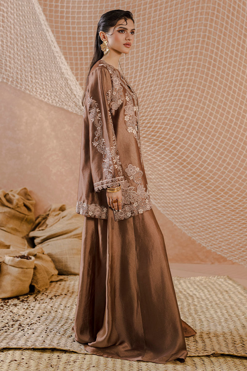 ELANAA | Ansab Jahangir