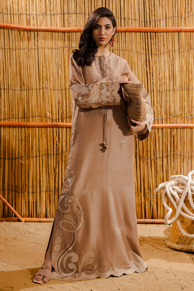 SARINA | Ansab Jahangir