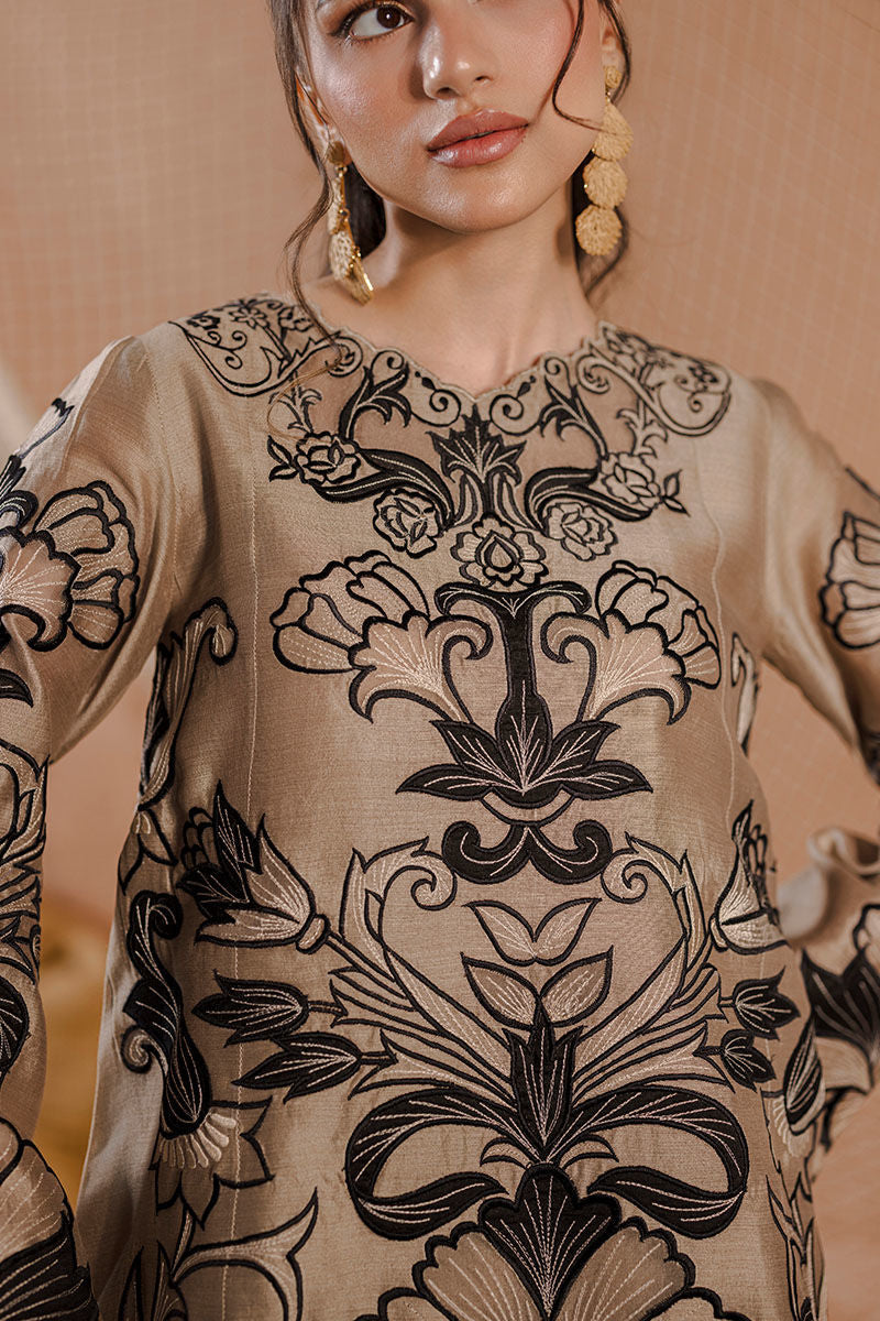 AMRISA | Ansab Jahangir
