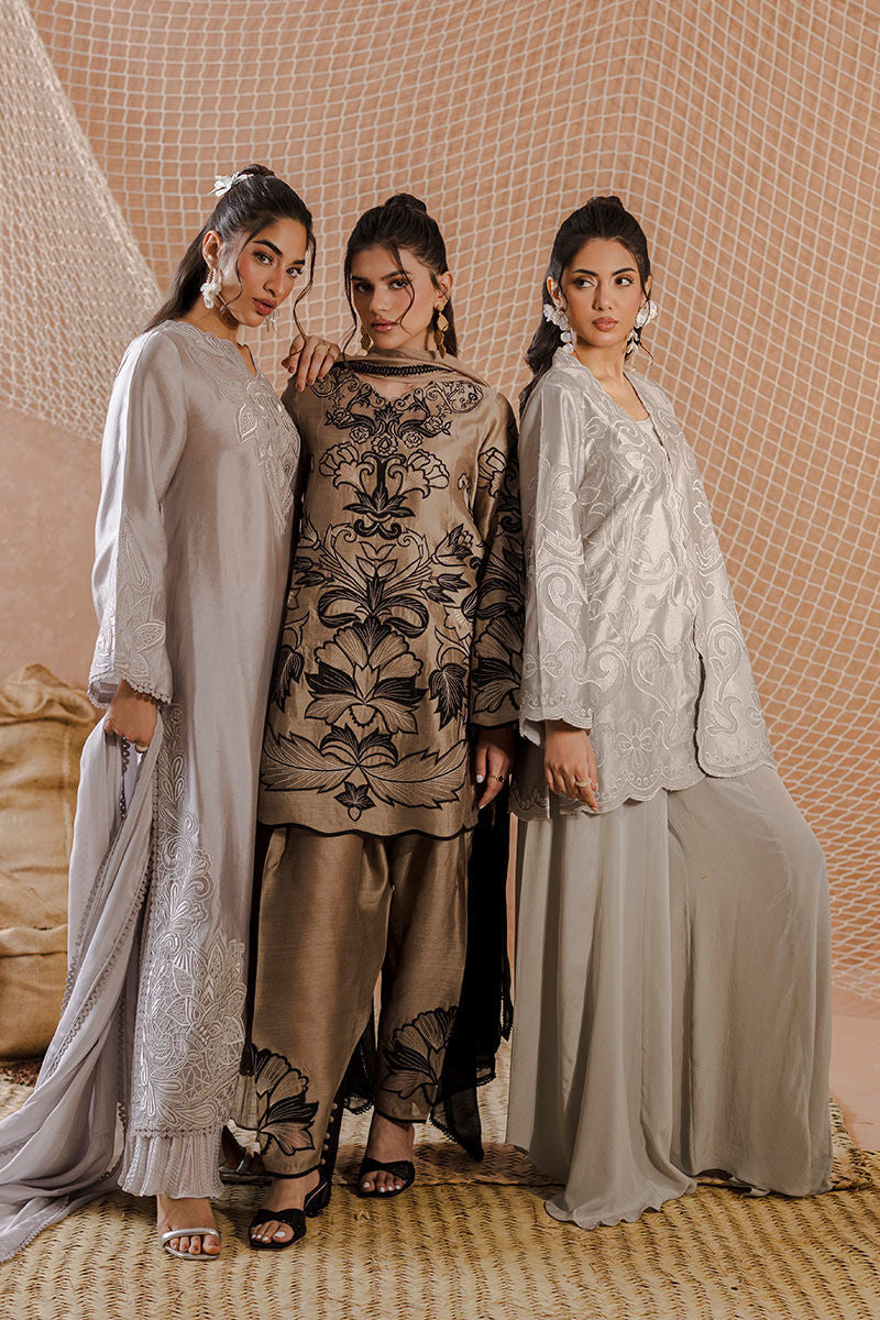 AMRISA | Ansab Jahangir