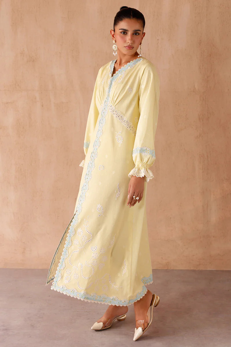 EP-10 ELIN | EMBROIDERED CO-ORD| Qalamkar