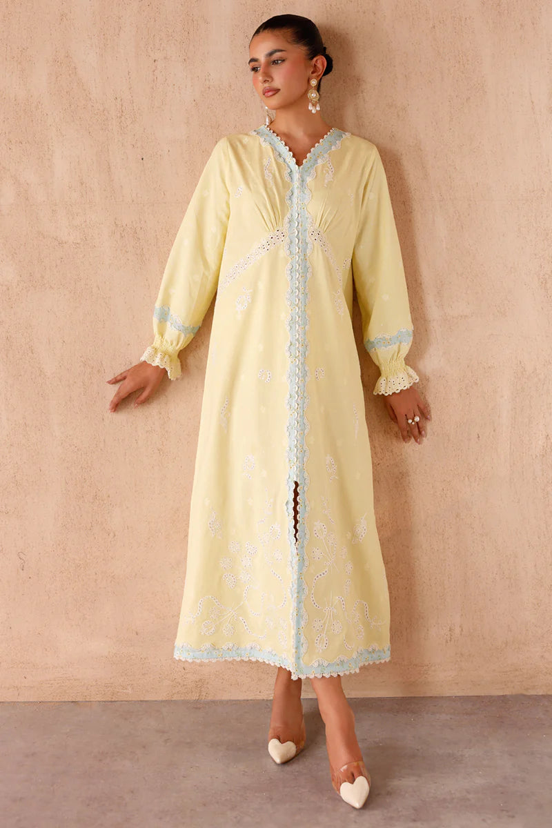 EP-10 ELIN | EMBROIDERED CO-ORD| Qalamkar