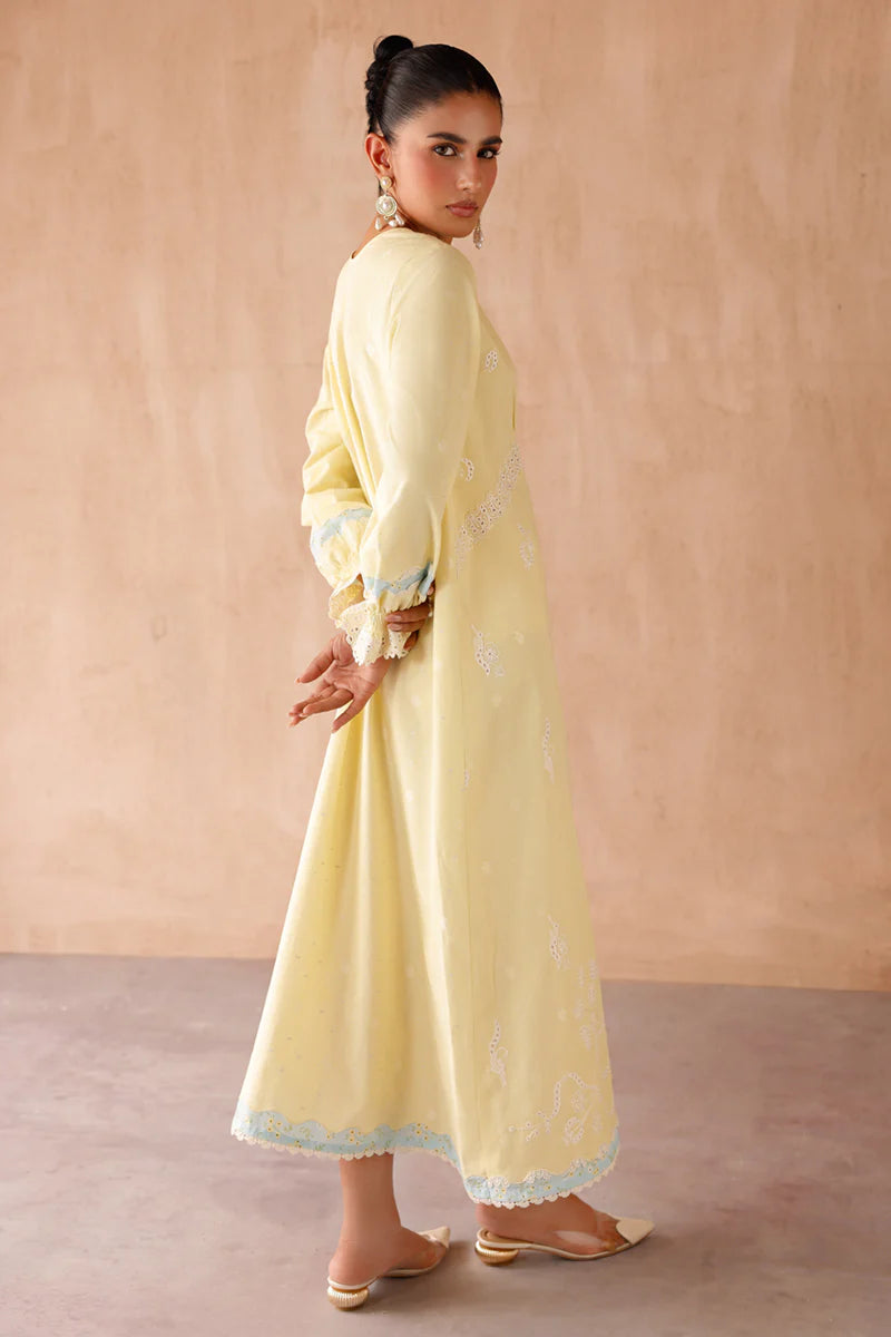 EP-10 ELIN | EMBROIDERED CO-ORD| Qalamkar