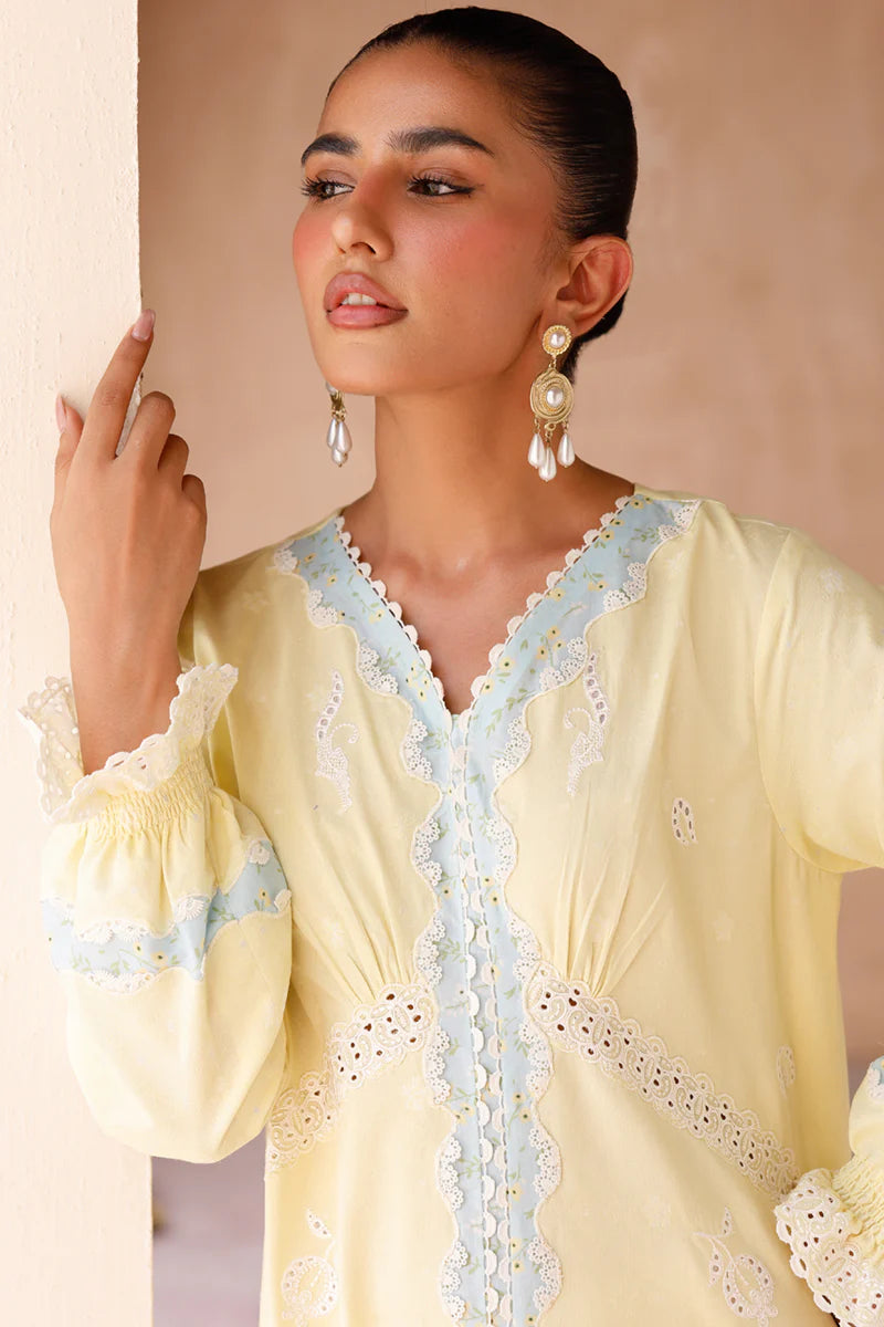 EP-10 ELIN | EMBROIDERED CO-ORD| Qalamkar