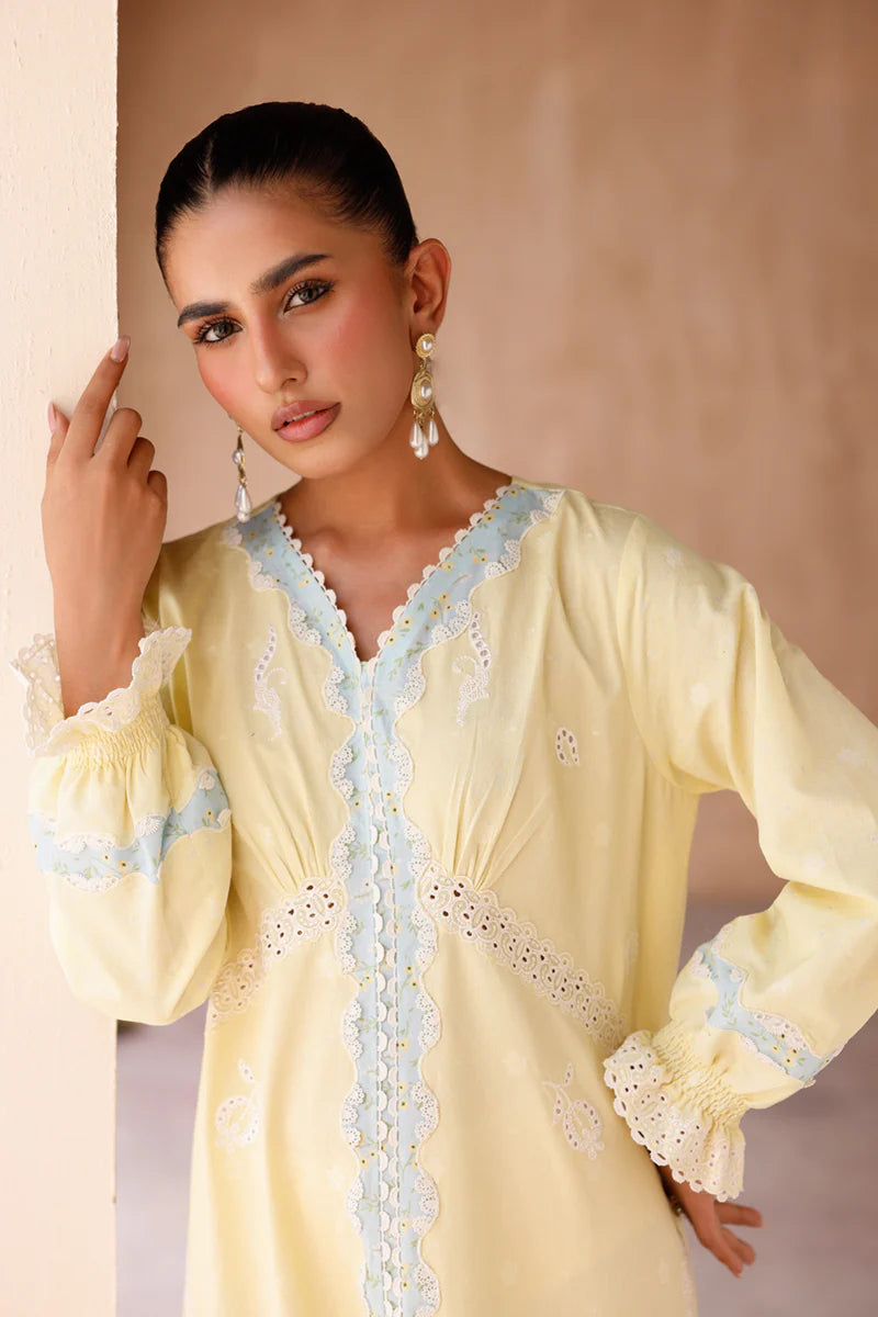 EP-10 ELIN | EMBROIDERED CO-ORD| Qalamkar