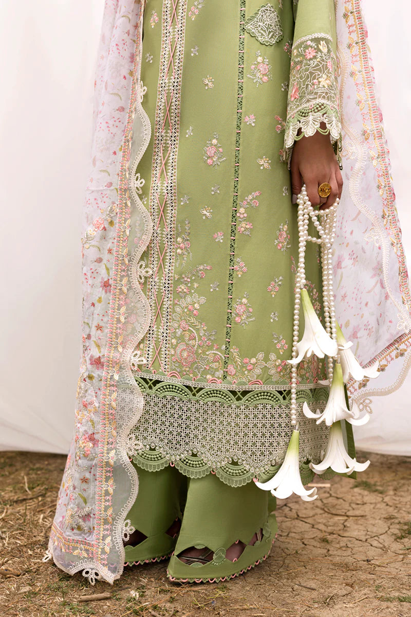DC-01 LOVISA | Qline by Qalamkar Lawn 2025