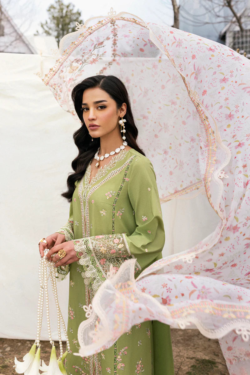 DC-01 LOVISA | Qline by Qalamkar Lawn 2025