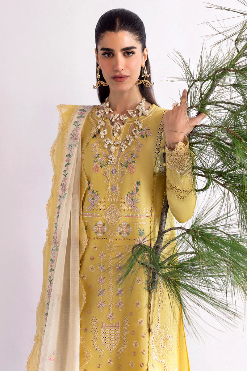 DC-09 ENYA | Qline by Qalamkar Lawn 2025