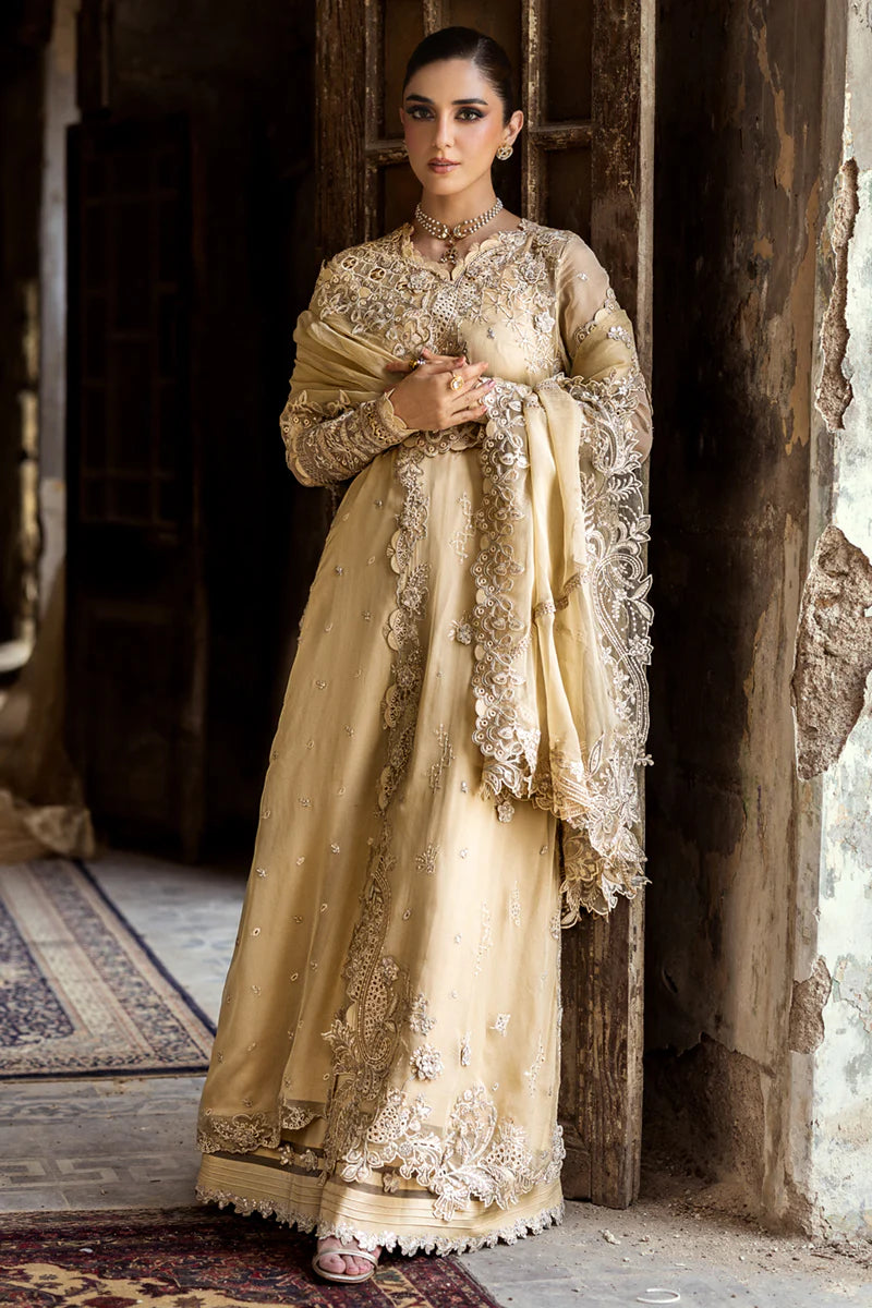 WC-07 HEELA | CHIFFONS '25 | QALAMKAR