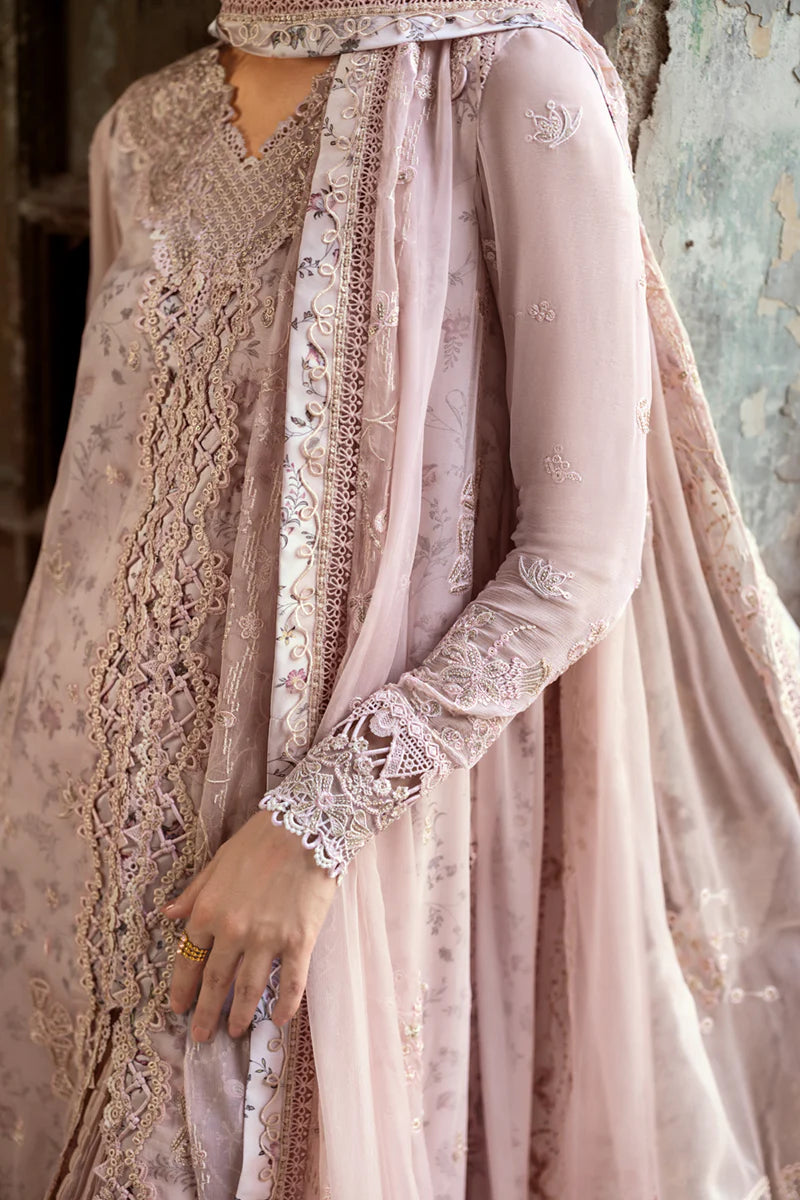 WC-05 RIONA | CHIFFONS '25 | QALAMKAR
