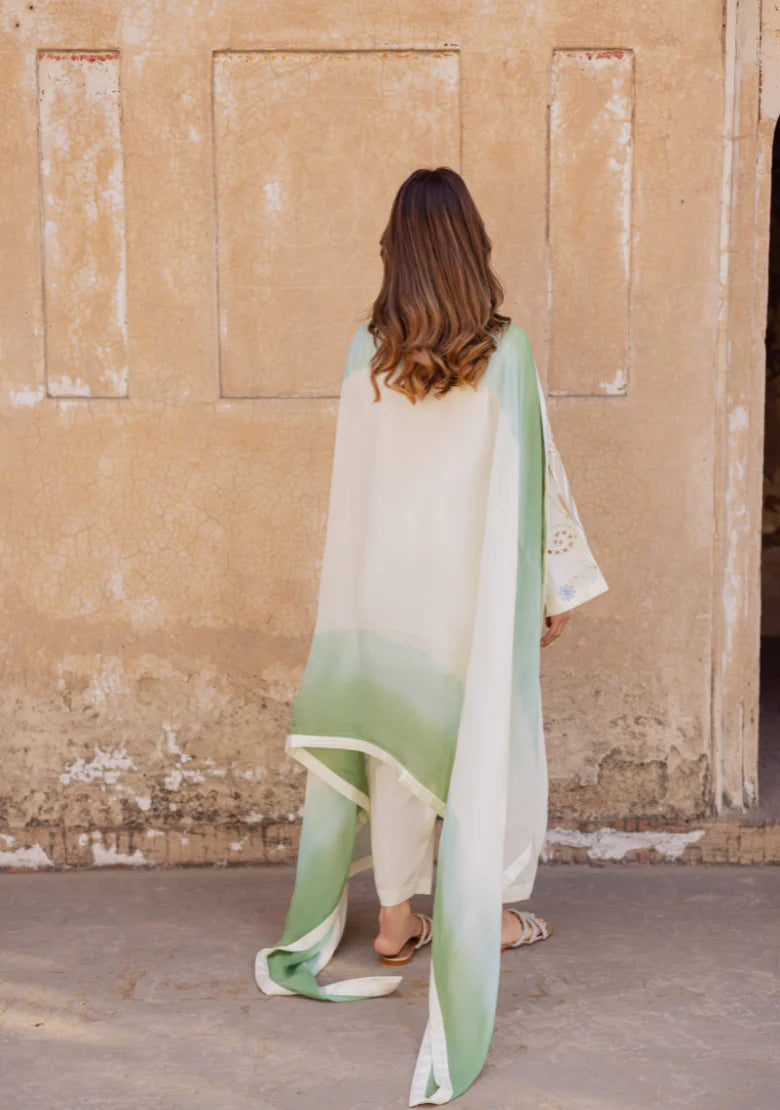 ADA DUPATTA | Solids Official