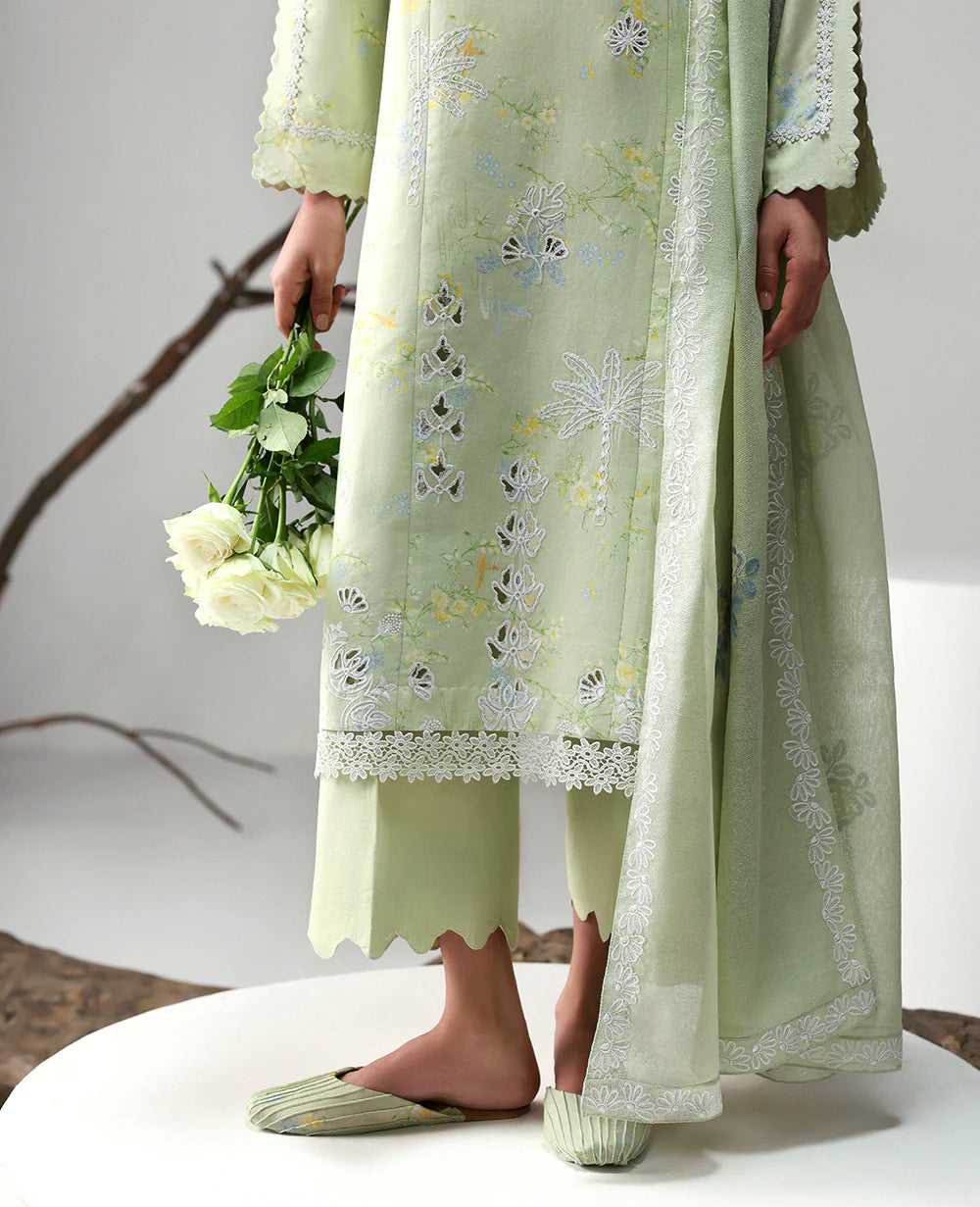 BP-217 | BASICS 25 - V3 | REPUBLIC WOMENSWEAR
