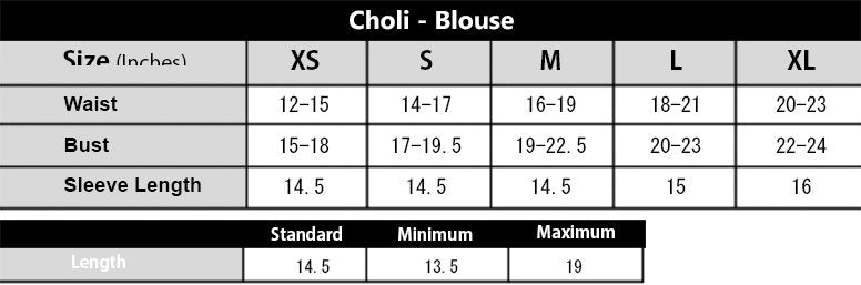 BEIGE LEHNGA CHOLI | CHAANDI | DYOT