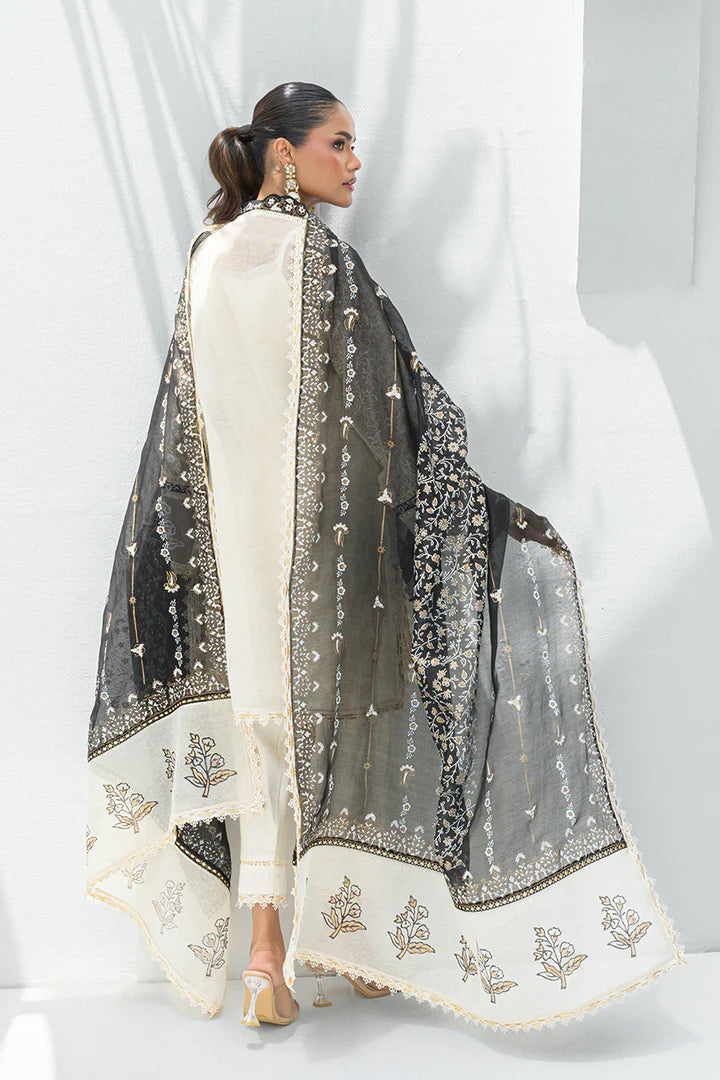 Mahgul | Nadia Farooqui