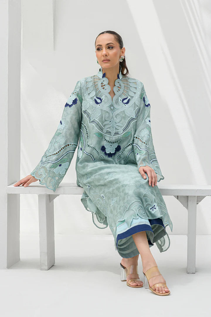 Raisa | Nadia Farooqui