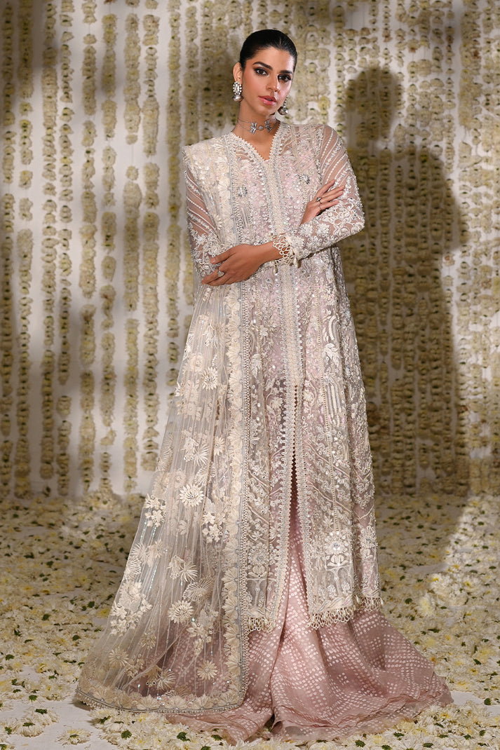 Nurvi | Saad Bin Shahzad