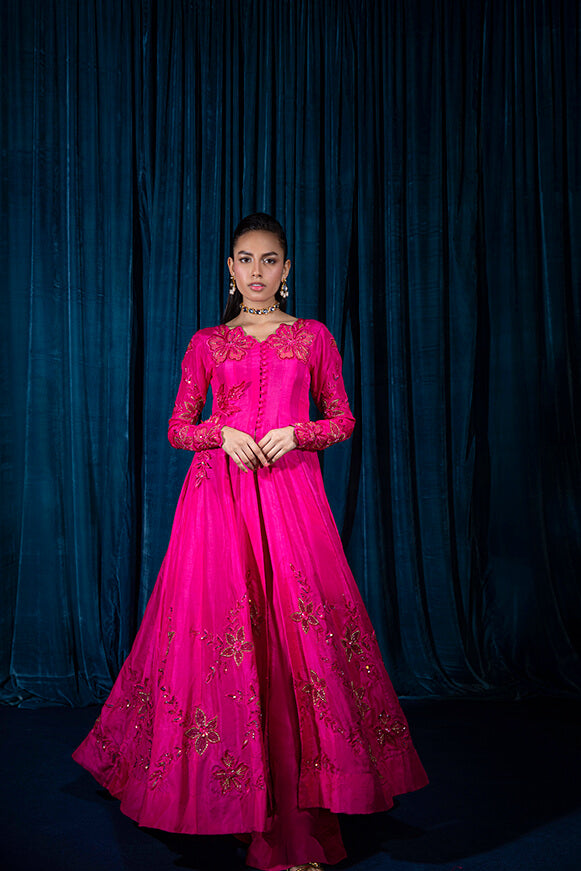 Sofia | Wajahat Mansoor