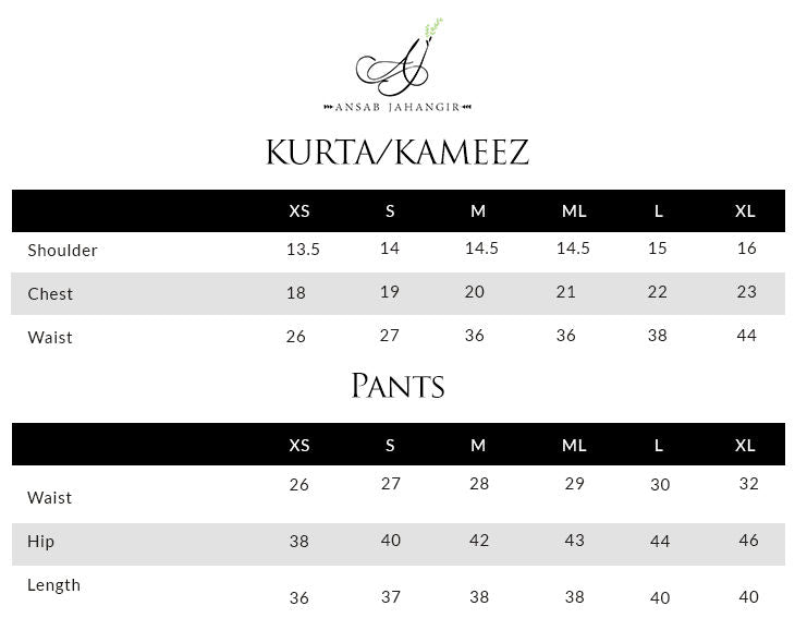 Derya | Luxury Velvets '25 | Ansab Jahangir