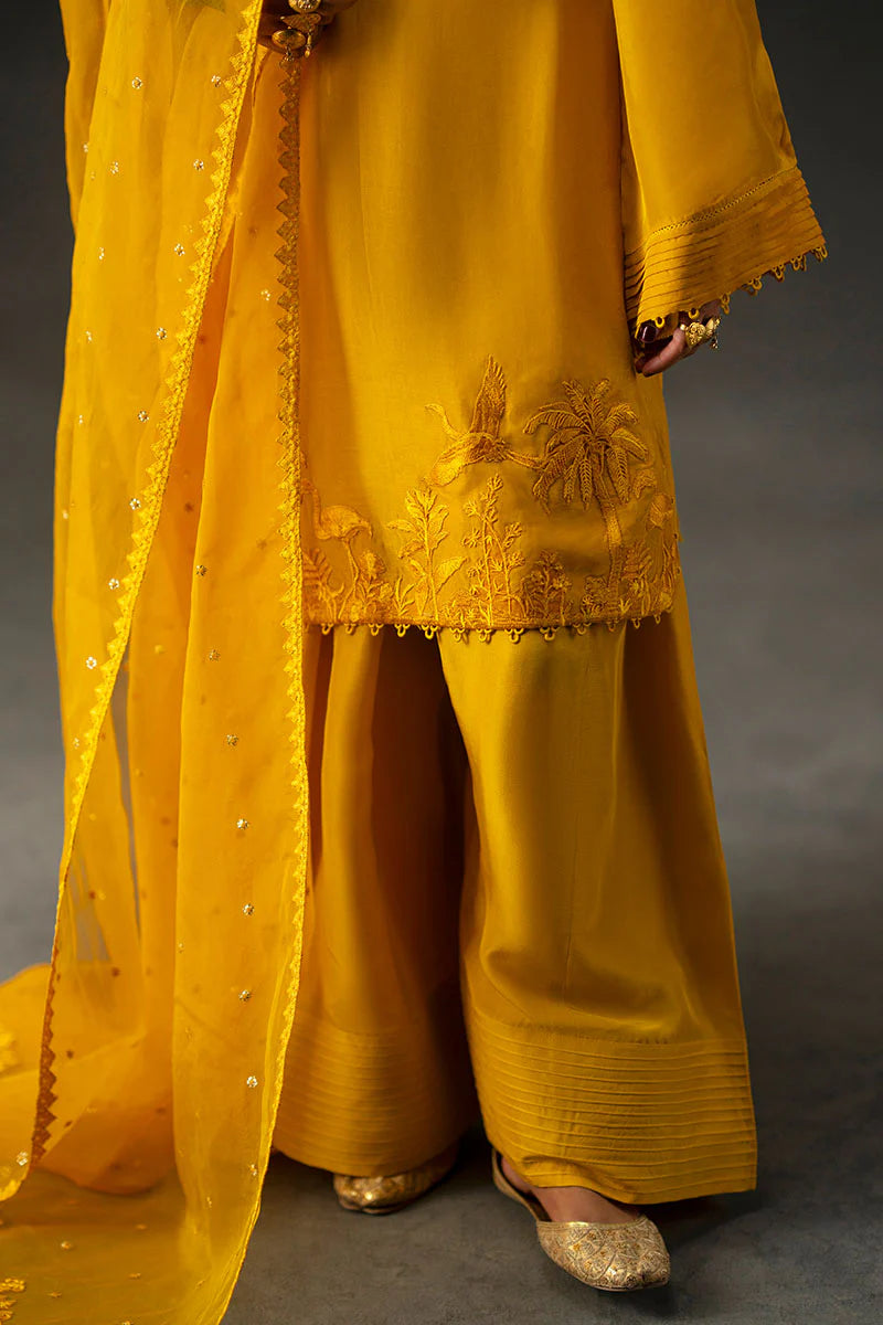 IQBAL BANO | BAANO SUMMER FESTIVE'25 | Mohsin Naveed Ranjha