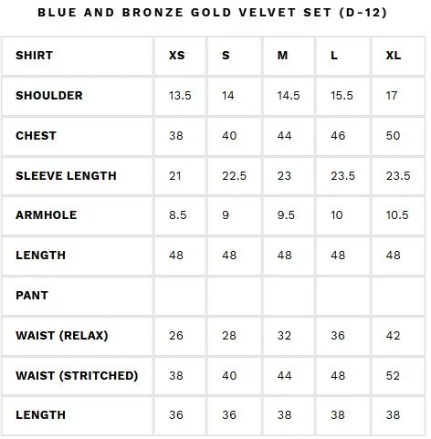 Blue and Bronze Gold Velvet Set (D-12) | Rendezvous '24 | Ammara Khan
