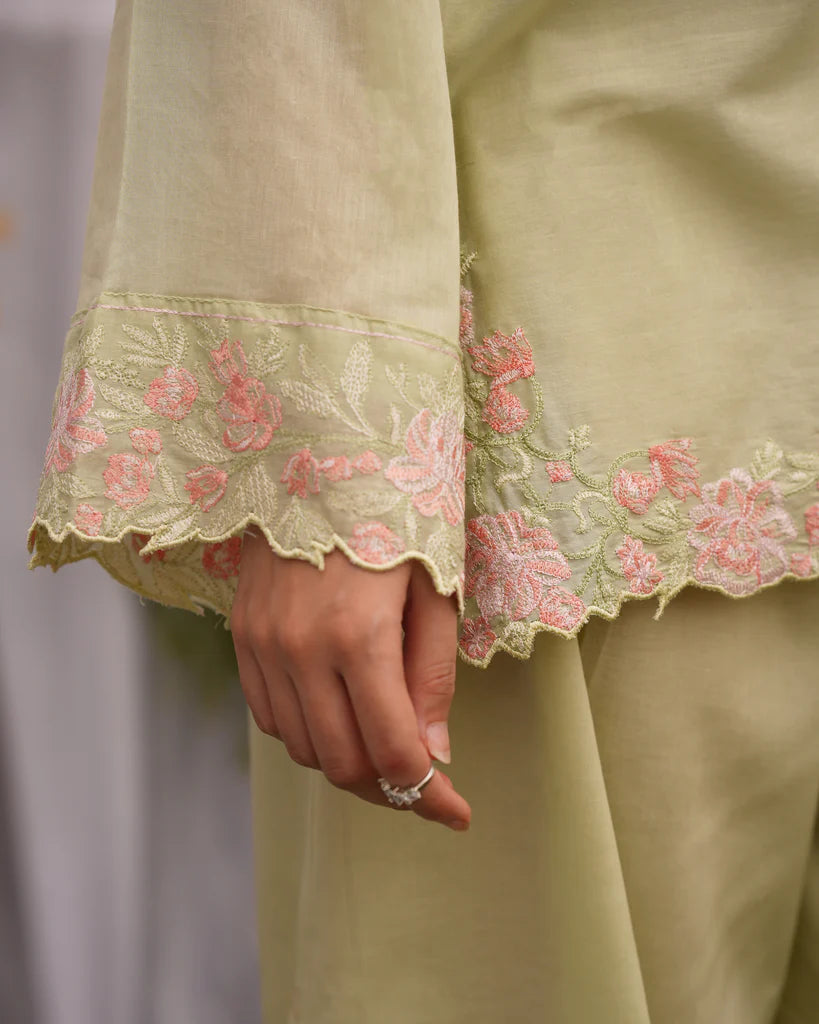 Pistachia | Lawn '25 | Osen