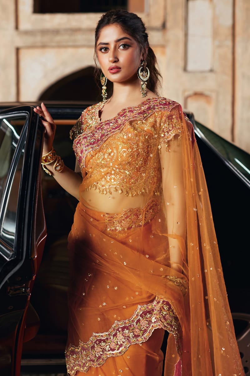 SH-02 RANIYA | LUXURY FORMALS | QALAMKAR