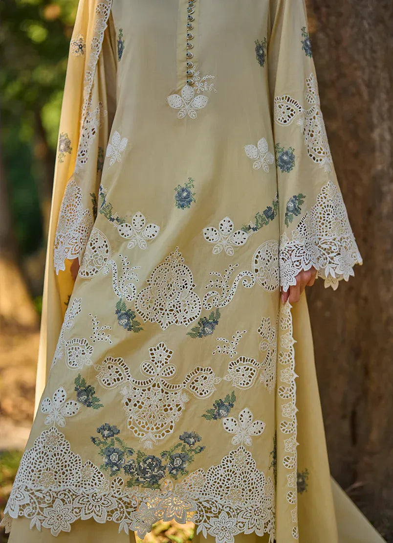 Lumira | Lawnkari ’26 | IMAGE