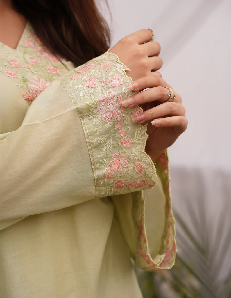 Pistachia | Lawn '25 | Osen