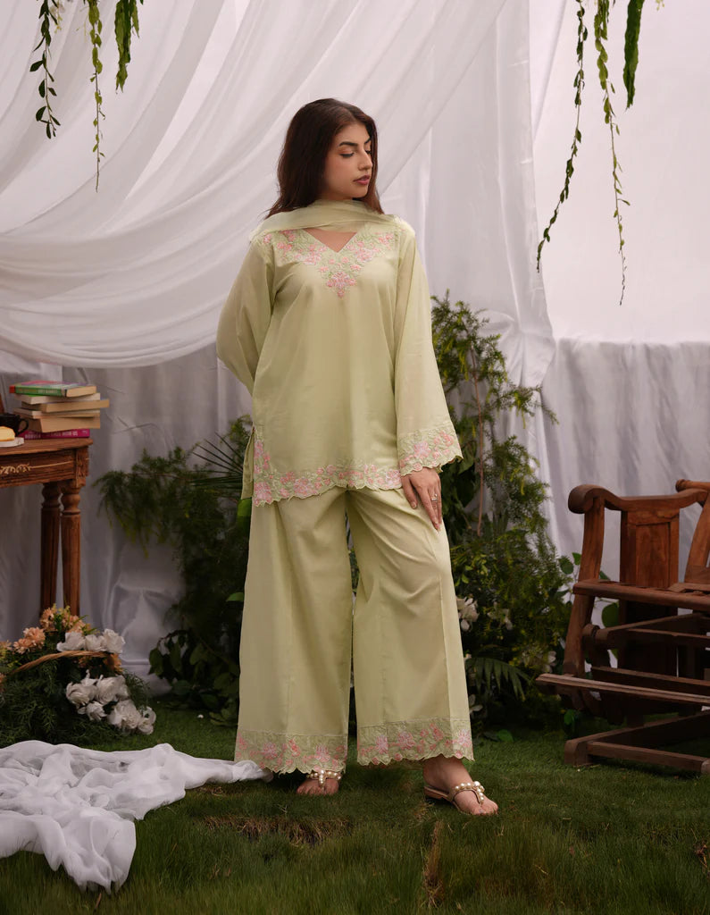 Pistachia | Lawn '25 | Osen