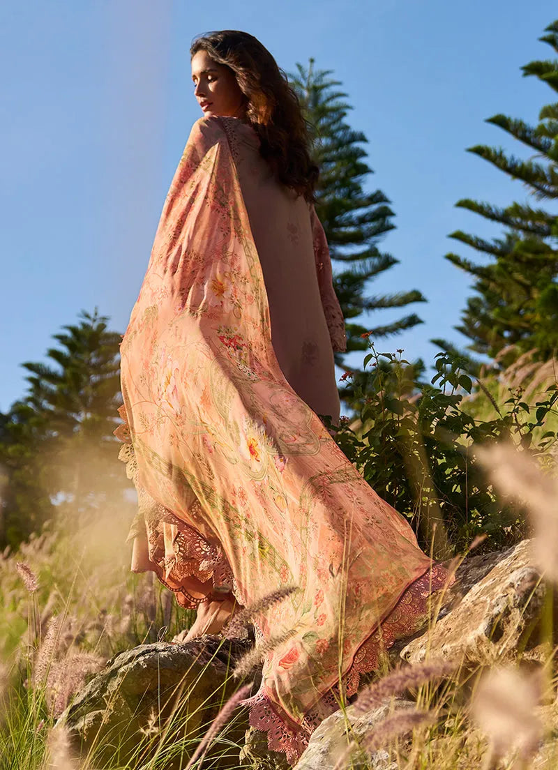 Solara | Lawnkari ’26 | IMAGE