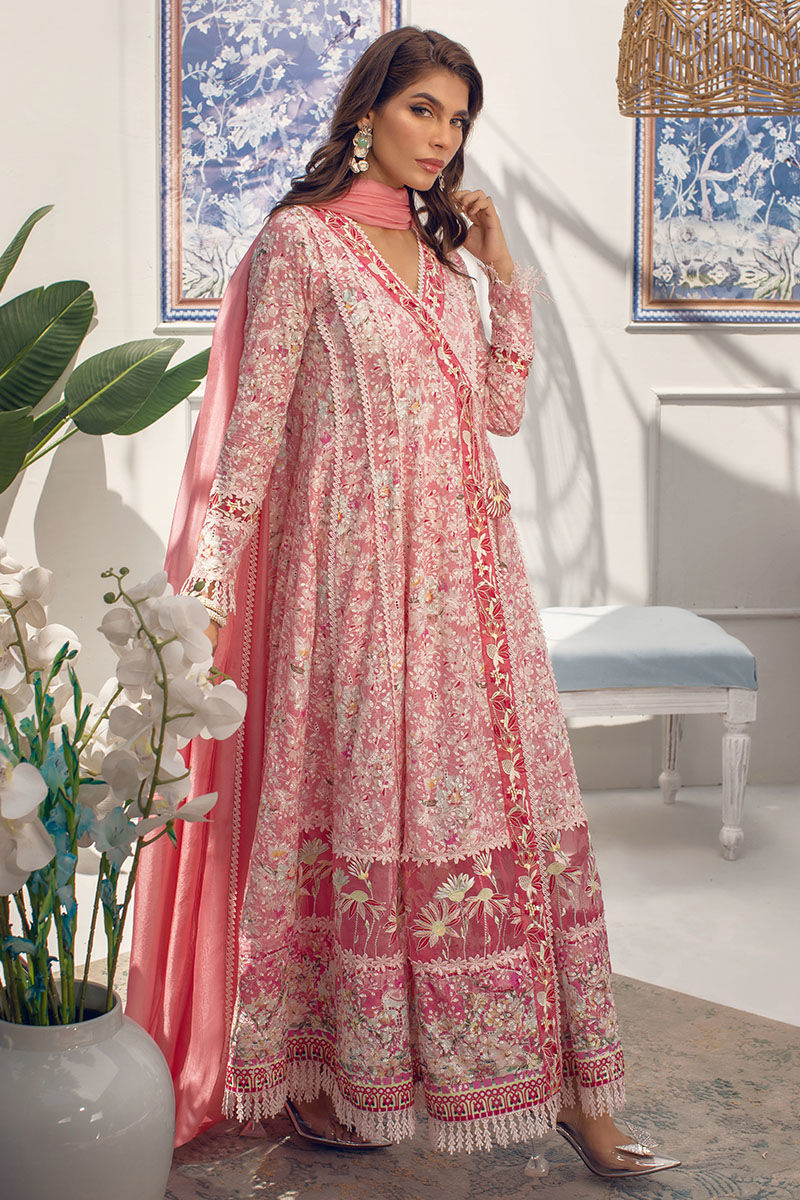 Fuschia | Ansab Jahangir