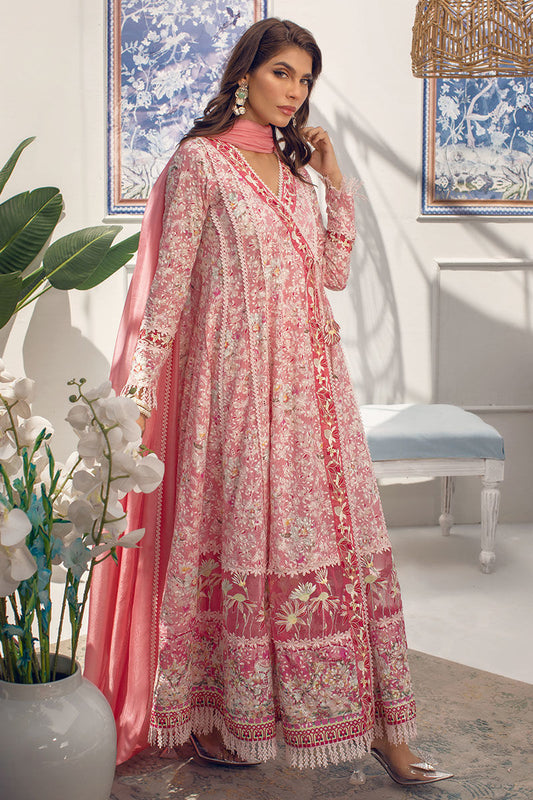 Fuschia | Ansab Jahangir